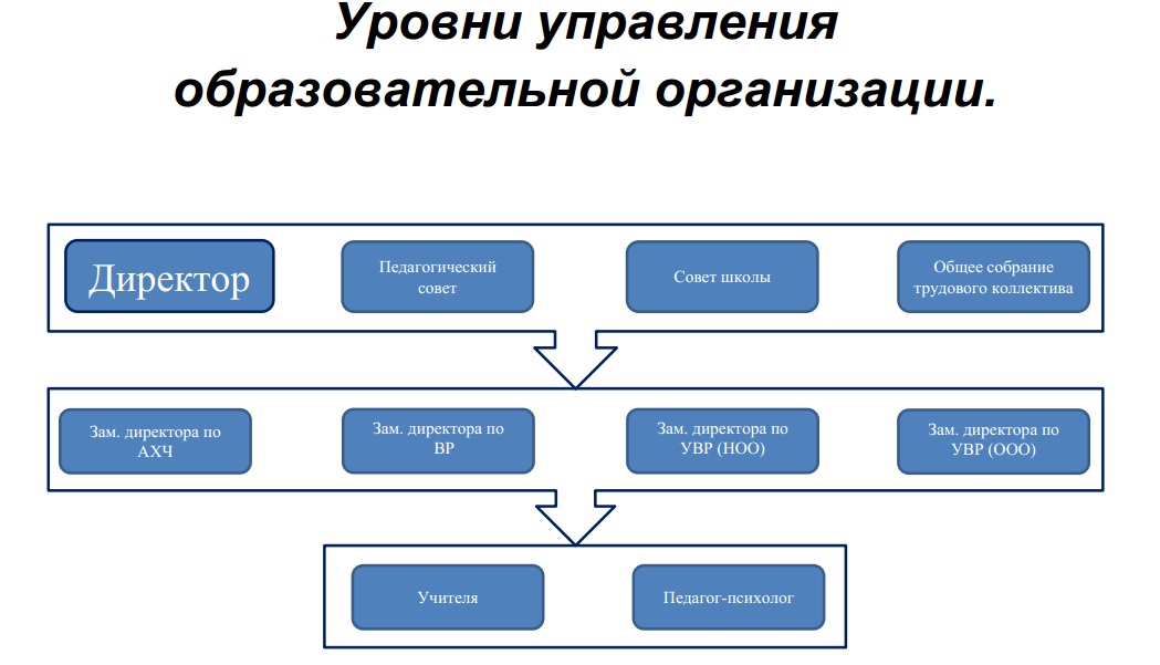 Проект система управления в образовательной организации